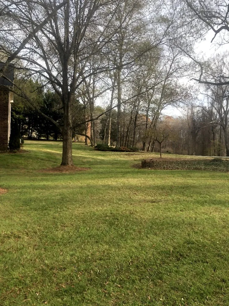 Custom lawn mowing service for beautiful yards across Greensboro, NC - Barry Bridges's Lawncare