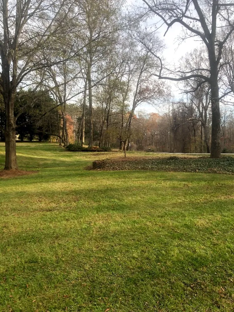 Affordable residential landscaping in Greensboro, NC - Barry Bridges's Lawncare