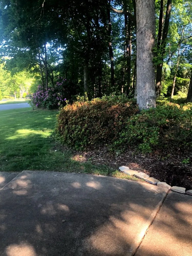 Affordable residential landscaping experts serving Greensboro, NC - Barry Bridges's Lawncare