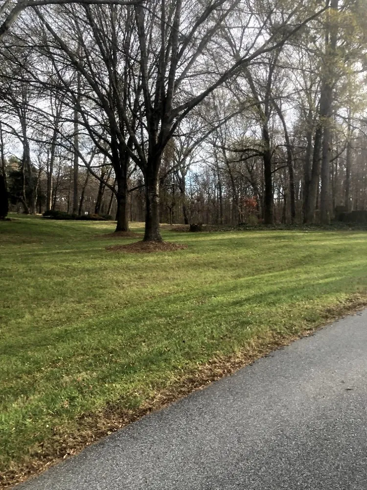 Custom landscaping services in Greensboro, NC by Barry Bridges's Lawncare