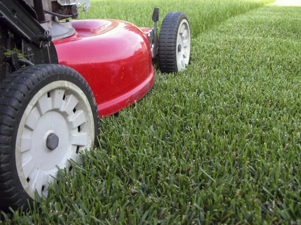 Reliable landscape installation experts serving Huntsville, AL - Barry's Lawn Care