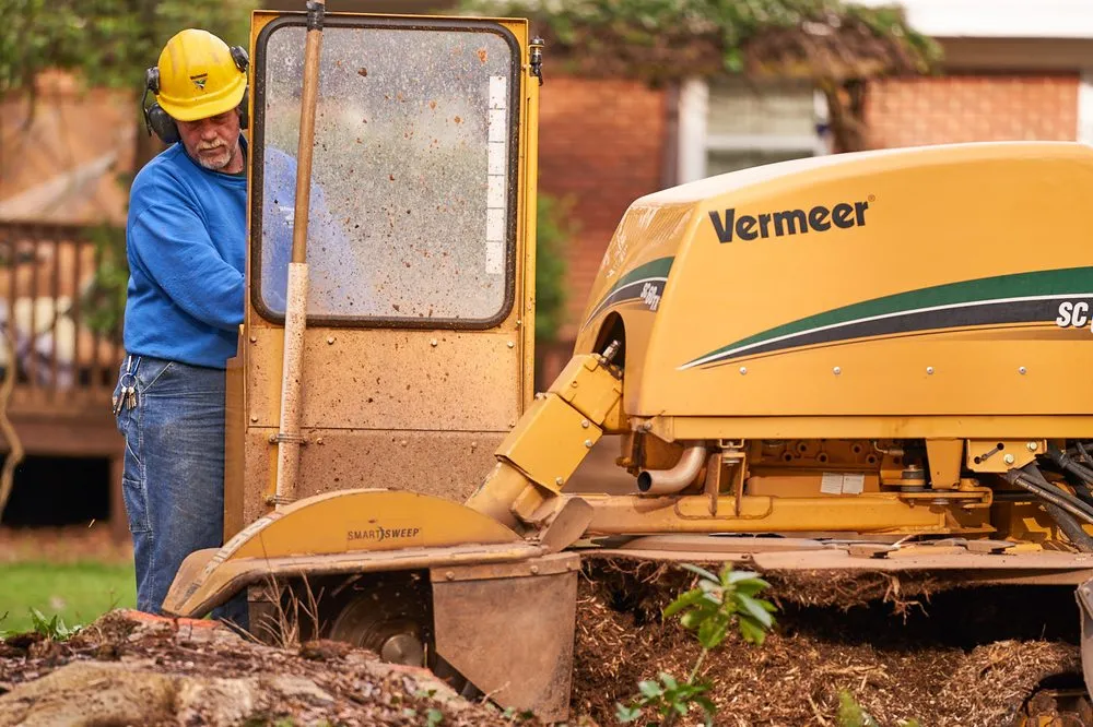 Top-rated residential landscaping for homes across Lancaster, SC - Barry's Stump Removal