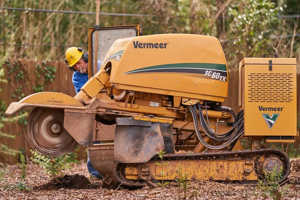 Expert landscape installation for outdoor upgrades across Lancaster, SC - Barry's Stump Removal