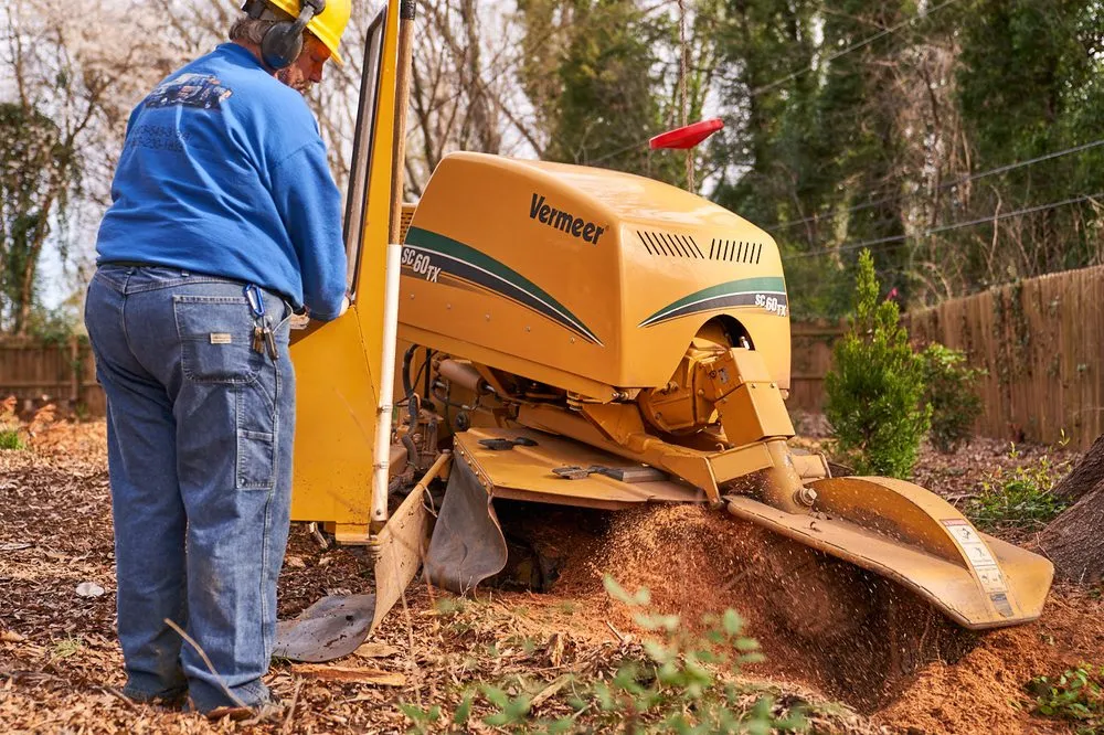 Affordable landscape installation for residential properties in Lancaster, SC by Barry's Stump Removal