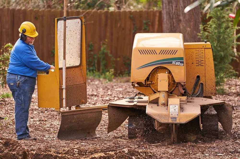 Reliable landscape design for beautiful yards in Lancaster, SC by Barry's Stump Removal