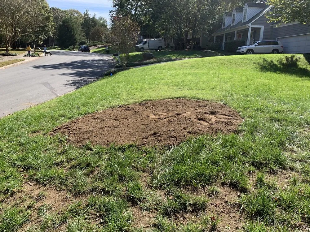 Custom lawn mowing service in Lancaster, SC by Barry's Stump Removal