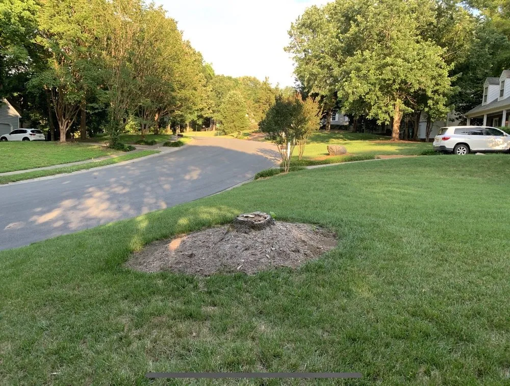 Custom yard cleanup service in Lancaster, SC - Barry's Stump Removal