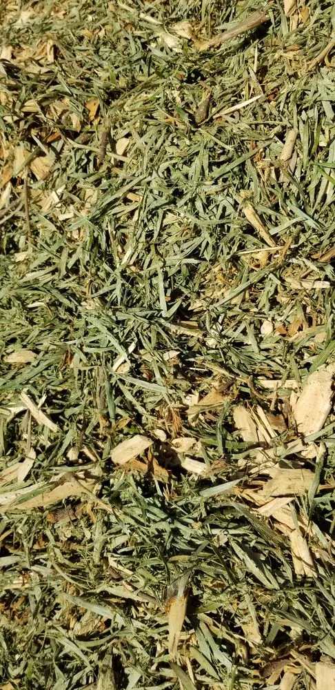 Affordable landscape design in Los Angeles, CA - Bar's Tree Service & Landscape