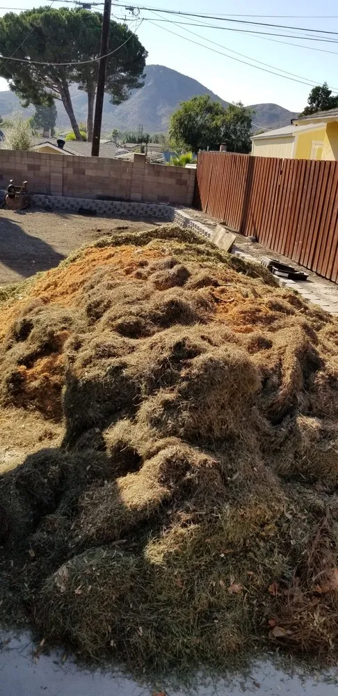 Local yard cleanup service with custom design across Los Angeles, CA - Bar's Tree Service & Landscape