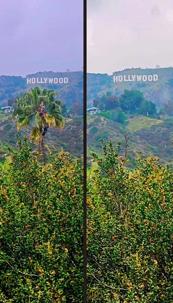 Top-rated outdoor landscaping experts serving Los Angeles, CA - Bar's Tree Service & Landscape