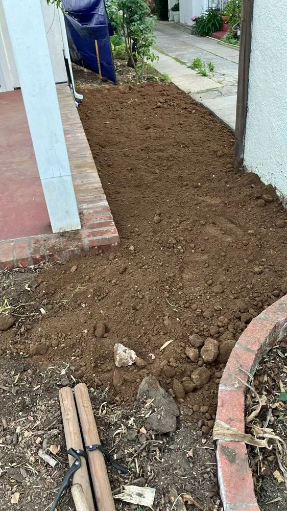 Affordable landscaping services for year-round maintenance across Los Angeles, CA - Bar's Tree Service & Landscape