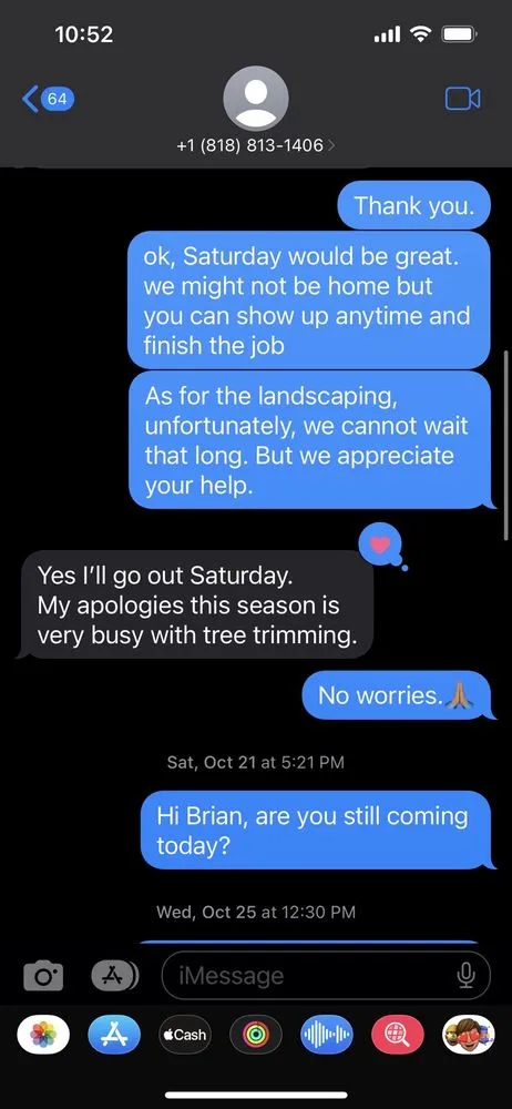 Top-rated yard cleanup service with custom design in Los Angeles, CA by Bar's Tree Service & Landscape