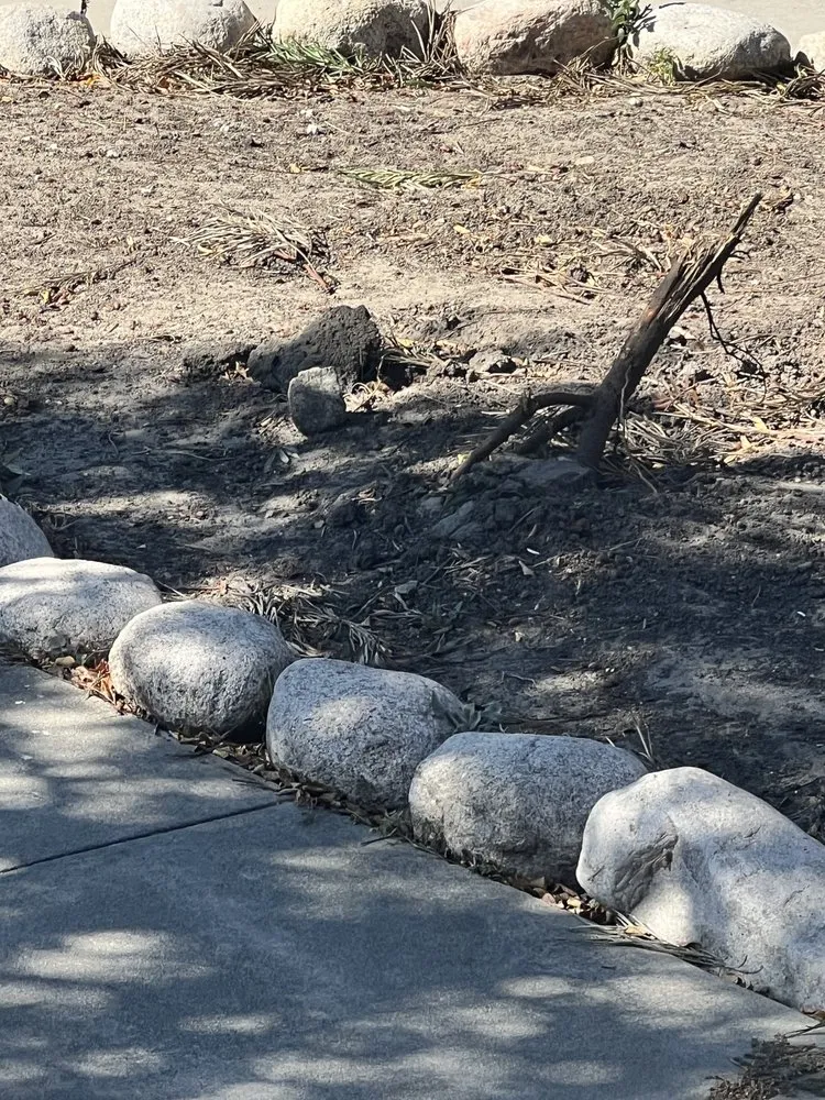 Affordable lawn care service for beautiful yards in Los Angeles, CA by Bar's Tree Service & Landscape