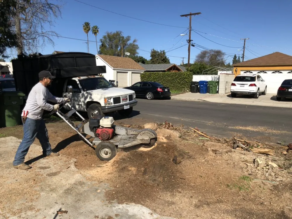 Trusted lawn care service for outdoor upgrades in Los Angeles, CA by Bar's Tree Service & Landscape