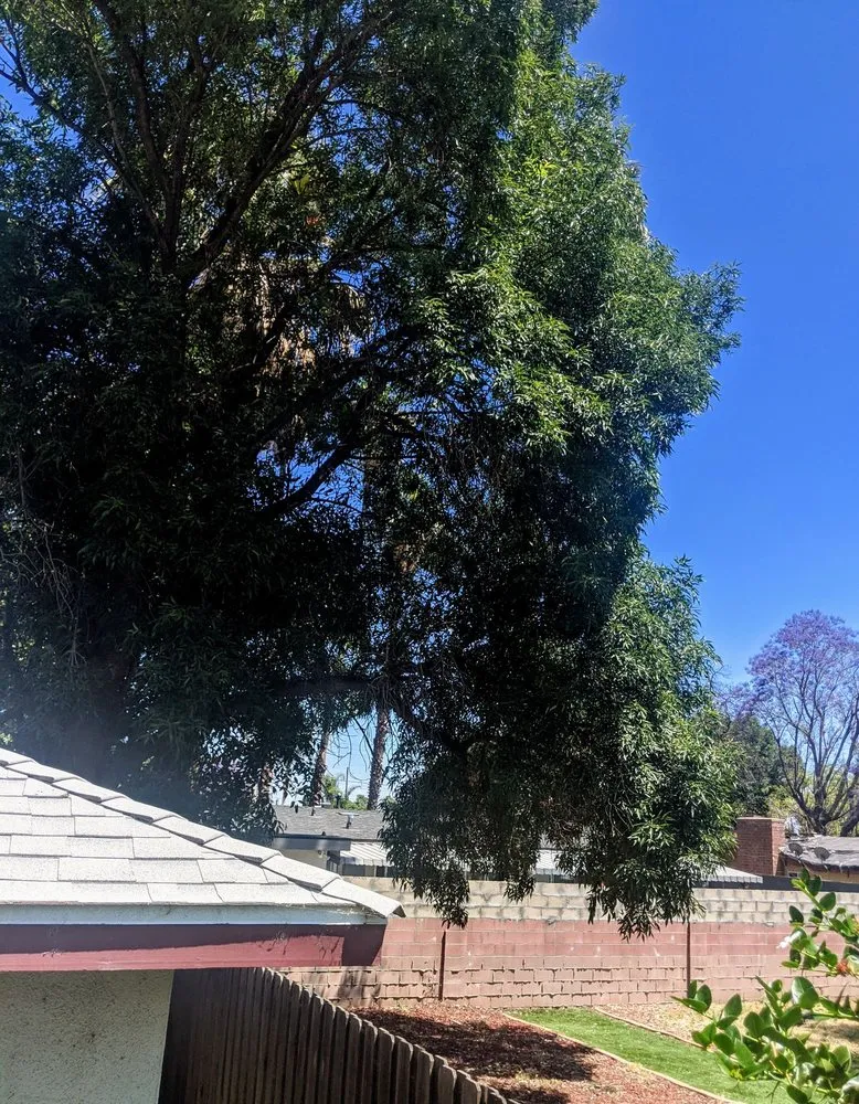 Expert residential landscaping in Los Angeles, CA by Bar's Tree Service & Landscape