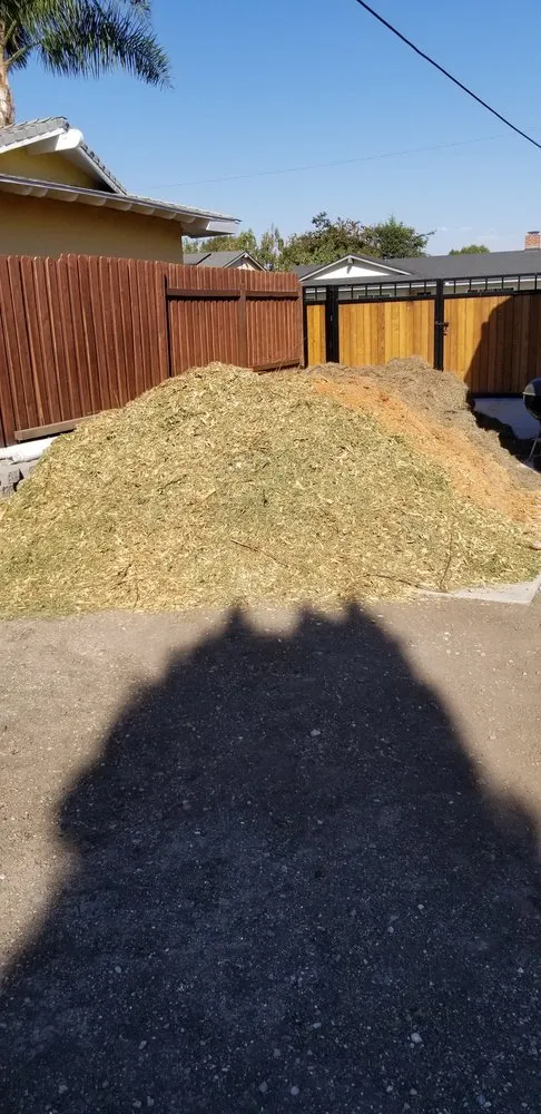 Expert yard maintenance experts serving Los Angeles, CA - Bar's Tree Service & Landscape