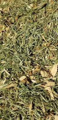 Bar's Tree Service & Landscape Logo