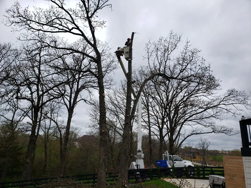 Expert yard cleanup service for beautiful yards in Springfield, MO by Barth Tree & Stump