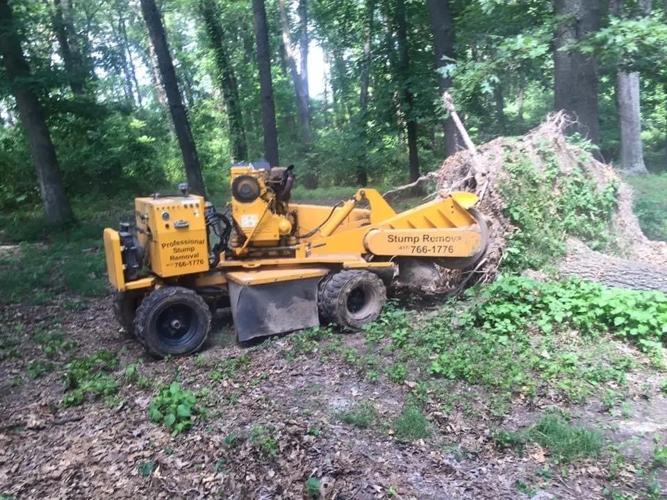 Professional lawn mowing service in Springfield, MO by Barth Tree & Stump