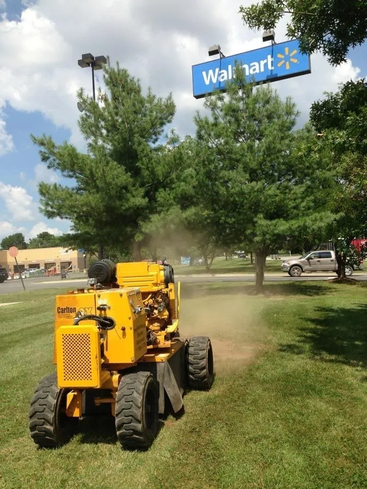 Professional lawn care service with custom design in Springfield, MO by Barth Tree & Stump