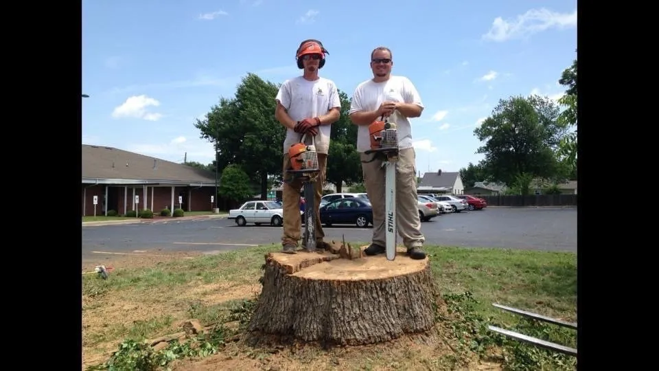 Affordable residential landscaping in Springfield, MO - Barth Tree & Stump