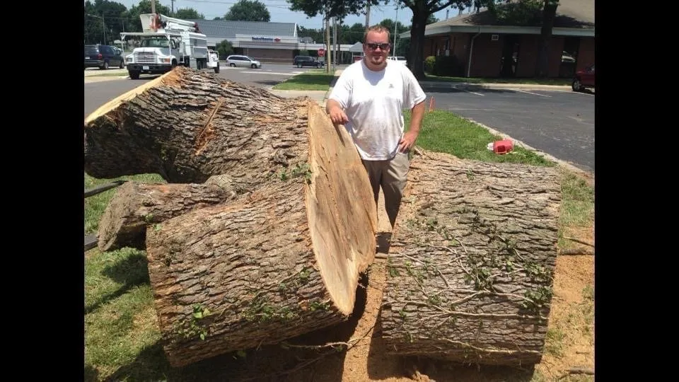 Local landscape installation for year-round maintenance in Springfield, MO by Barth Tree & Stump