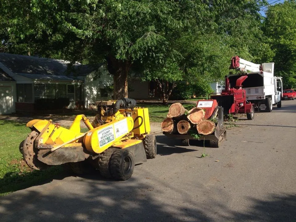 Top-rated yard cleanup service in Springfield, MO by Barth Tree & Stump