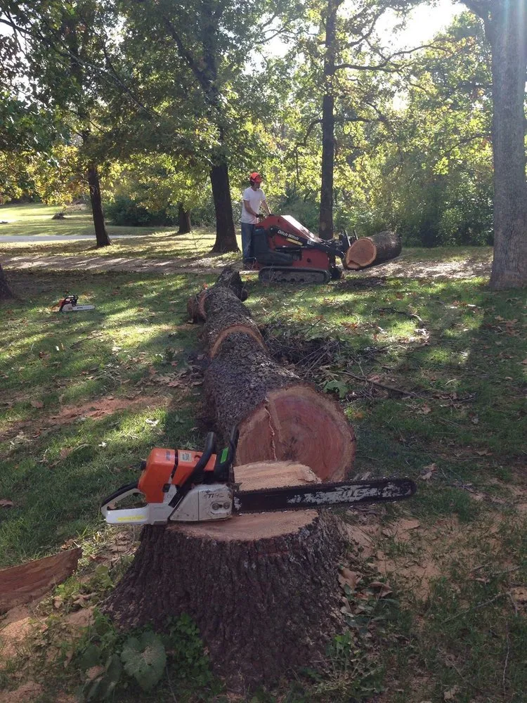 Custom yard maintenance with custom design across Springfield, MO - Barth Tree & Stump