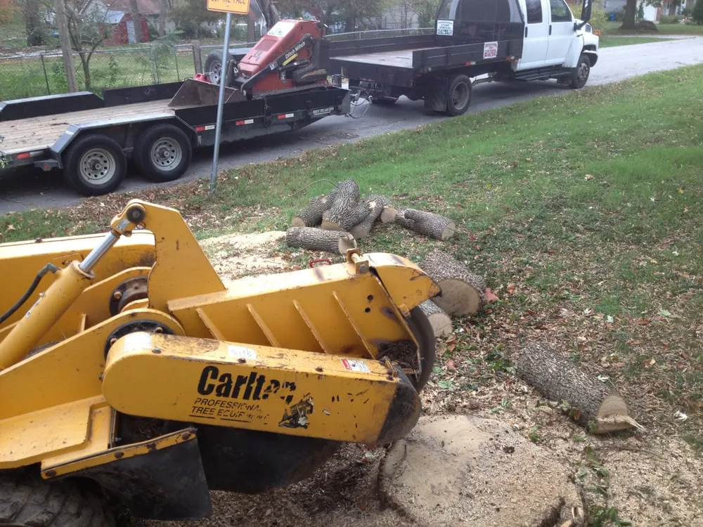 Expert garden landscaping in Springfield, MO - Barth Tree & Stump