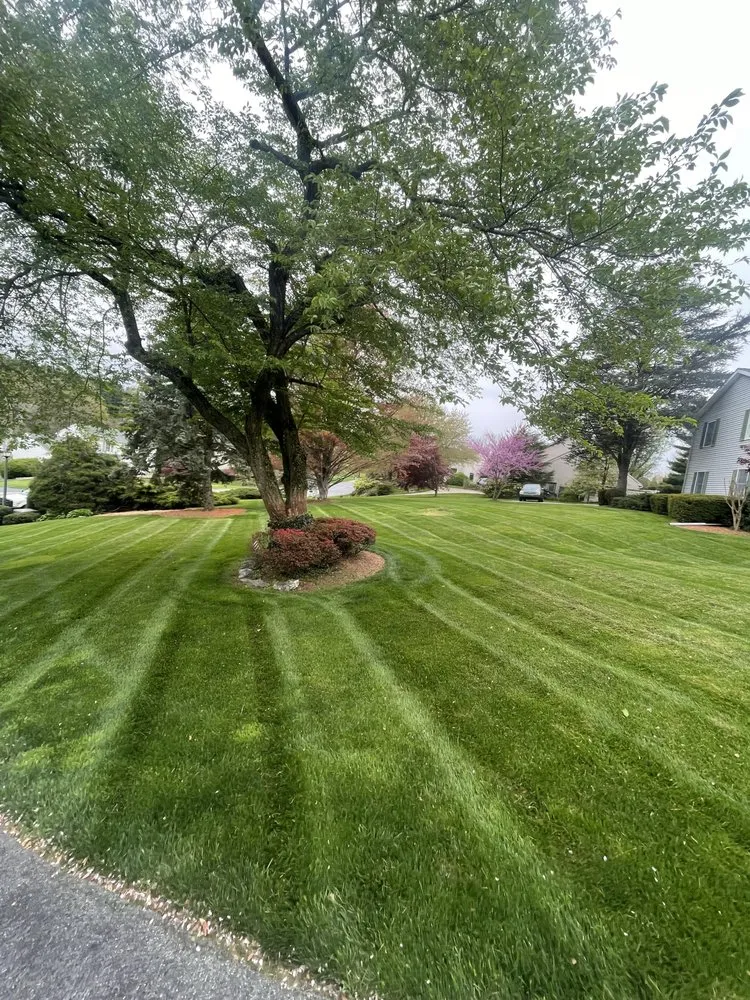 Trusted residential landscaping in Elizabethtown, PA - Bartlett & Sauder Landscaping Services