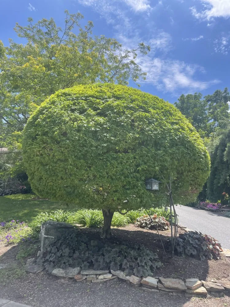 Reliable garden landscaping in Elizabethtown, PA - Bartlett & Sauder Landscaping Services