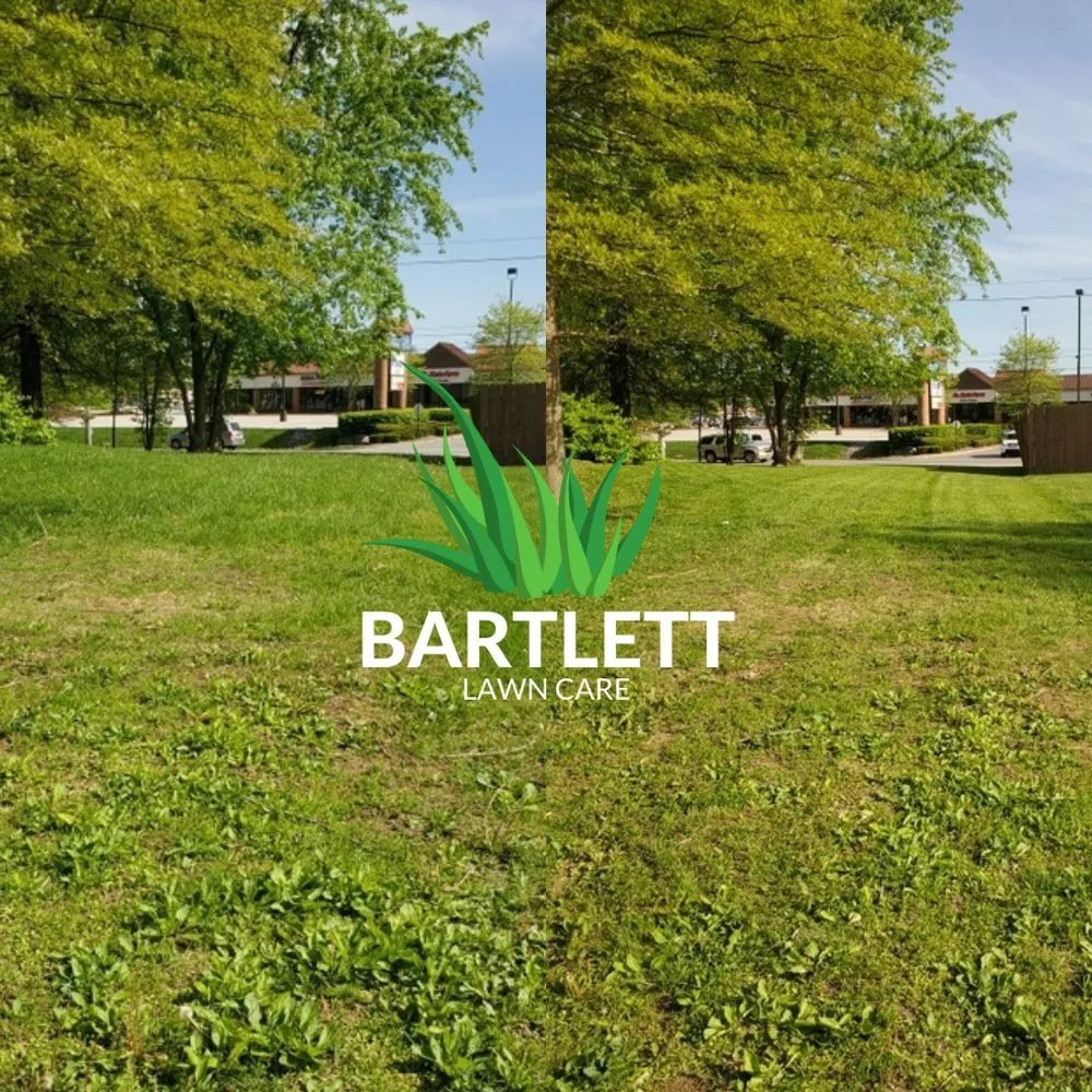 Reliable landscaping services experts serving Whiteland, IN - Bartlett Lawn Care