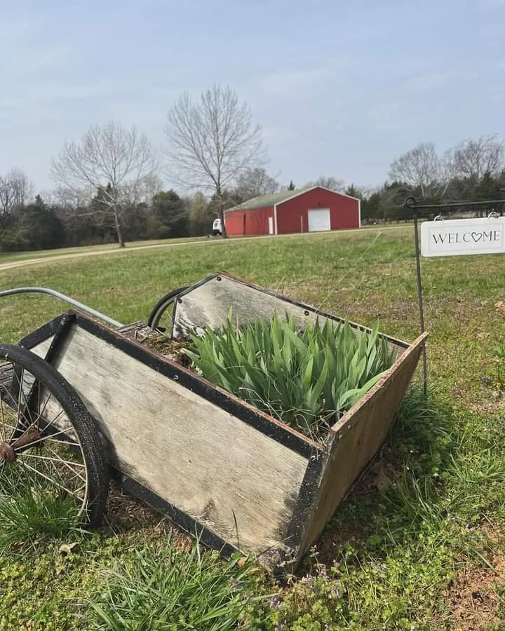 Trusted yard cleanup service for beautiful yards across Arroyo Grande, CA - Bartlett 's Painting and Home repairs