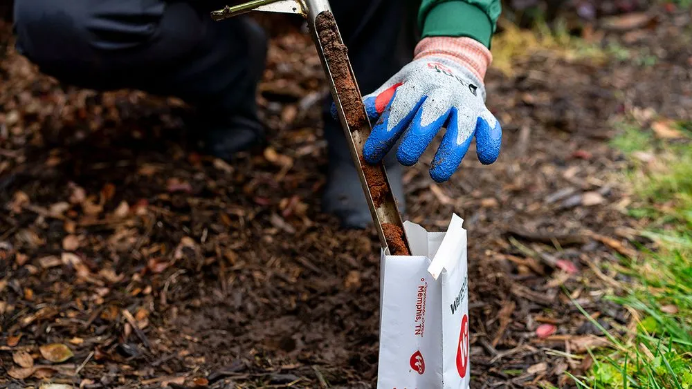 Custom lawn care service in Chesapeake, VA - Bartlett Tree Experts