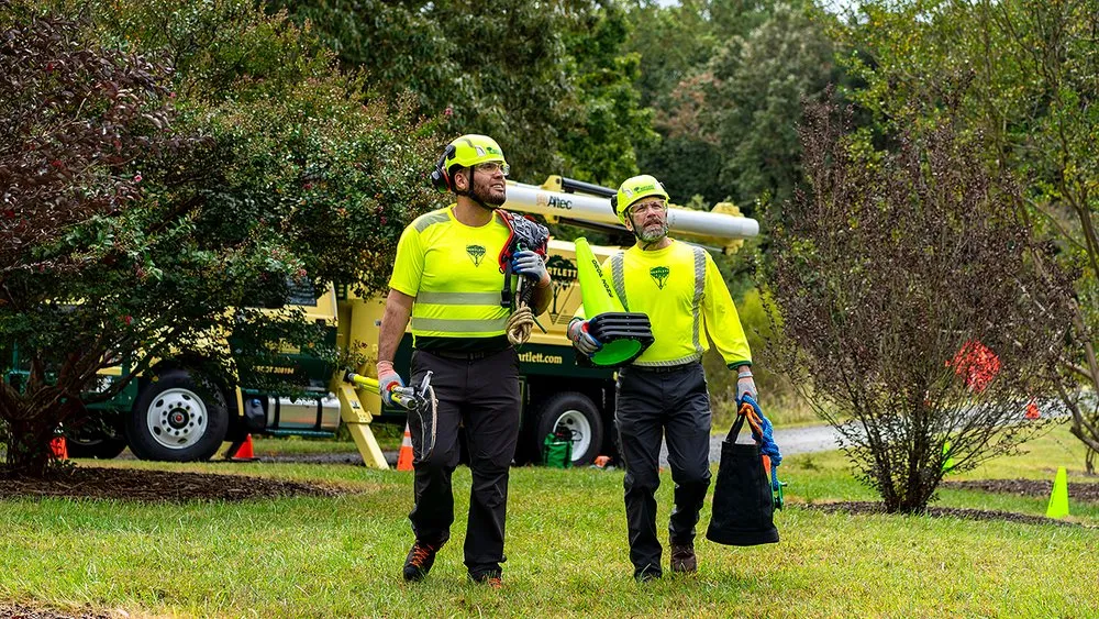 Top-rated residential landscaping for outdoor upgrades in Chesapeake, VA by Bartlett Tree Experts