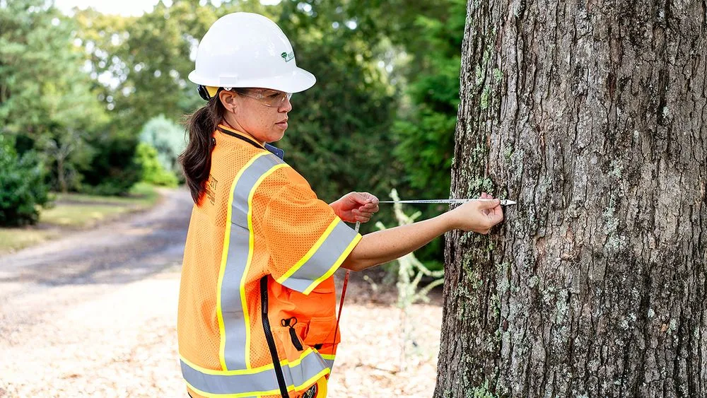 Reliable outdoor landscaping experts serving Chesapeake, VA - Bartlett Tree Experts