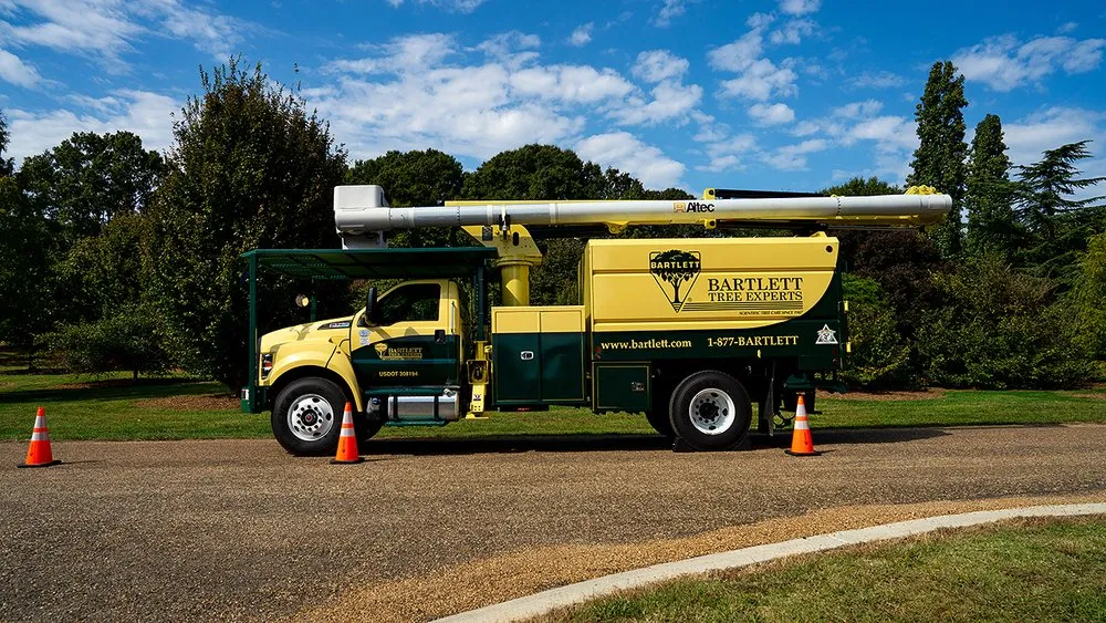 Expert residential landscaping in Chesapeake, VA by Bartlett Tree Experts