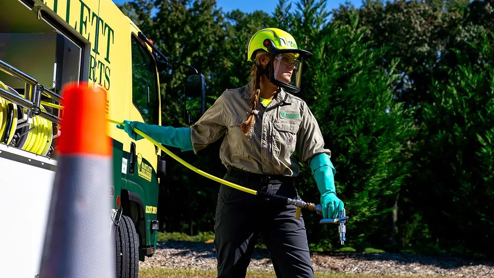 Professional yard maintenance experts serving Chesapeake, VA - Bartlett Tree Experts