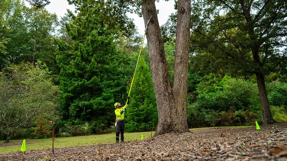 Local residential landscaping in Chesapeake, VA - Bartlett Tree Experts