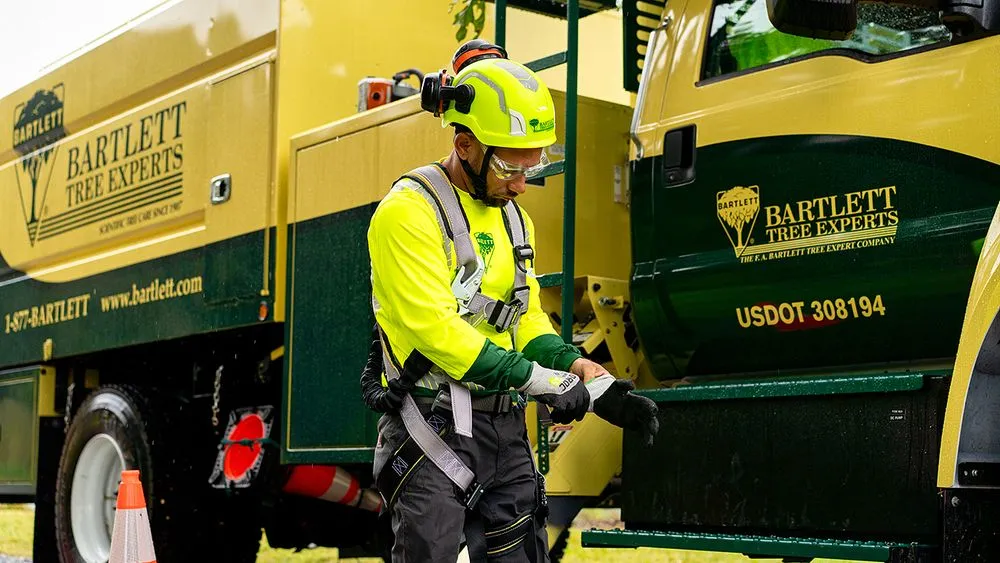 Top-rated yard maintenance in Chesapeake, VA by Bartlett Tree Experts