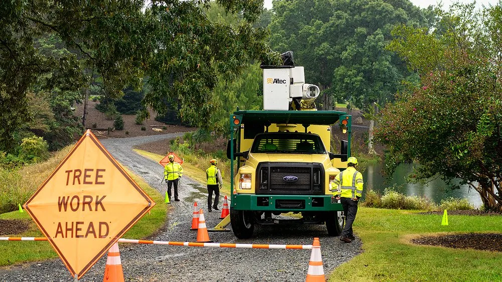 Affordable lawn care service in Chesapeake, VA by Bartlett Tree Experts