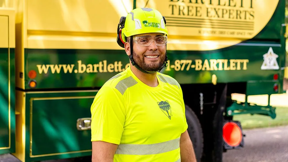 Top-rated residential landscaping in Tampa, FL - Bartlett Tree Experts