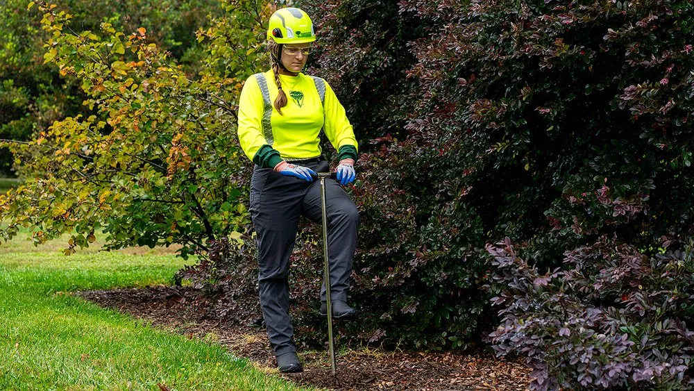 Local lawn care service for residential properties in Tampa, FL by Bartlett Tree Experts