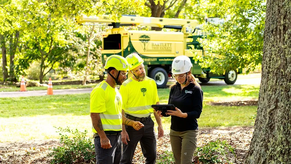 Reliable residential landscaping with custom design in Tampa, FL by Bartlett Tree Experts