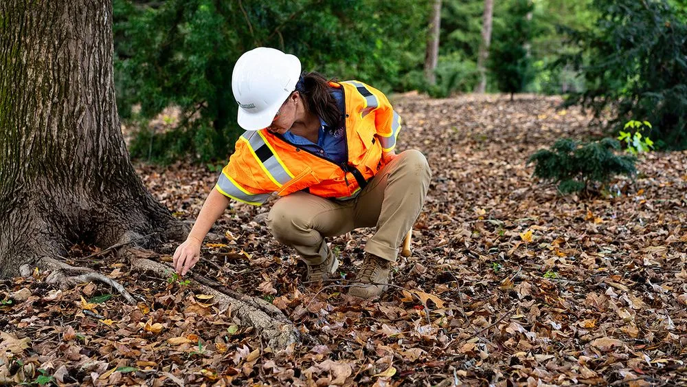 Top-rated residential landscaping for residential properties in Tampa, FL by Bartlett Tree Experts