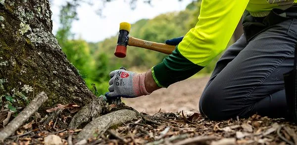 Bartlett Tree Experts Logo