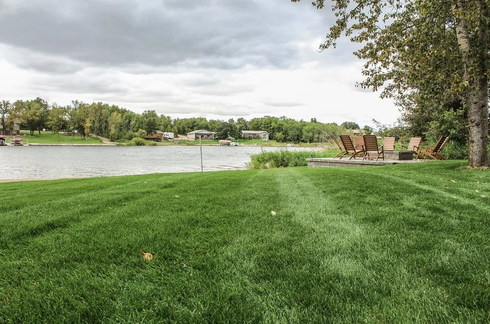 Affordable yard cleanup service in Bottineau, ND by Bartlett Yardworks