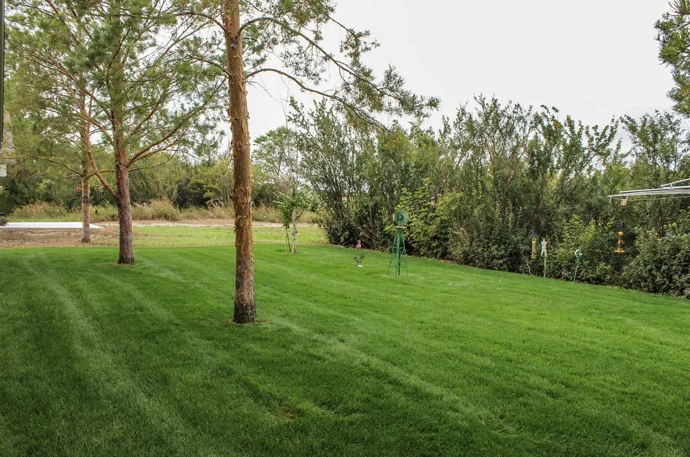 Professional lawn care service with custom design across Bottineau, ND - Bartlett Yardworks