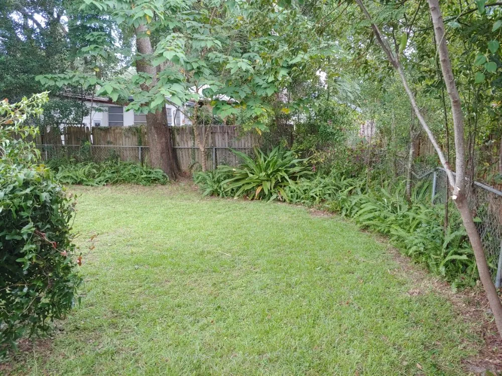 Custom landscape installation in Anthony, FL - Bartley McKeown