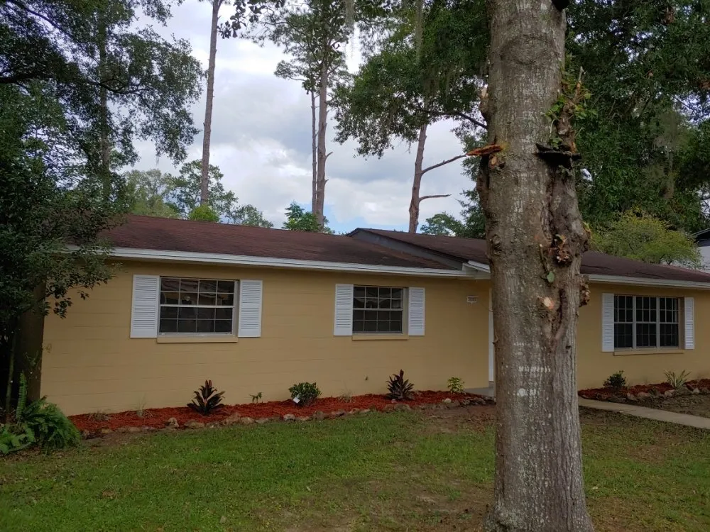 Reliable landscaping services with custom design across Anthony, FL - Bartley McKeown